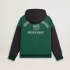 Felpa con cappuccio reversibile verde e blu da uomo