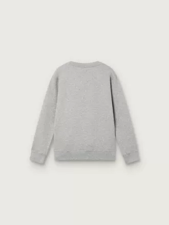 Felpa girocollo Journey per bambino in cotone grigio melange con stampa mascotte