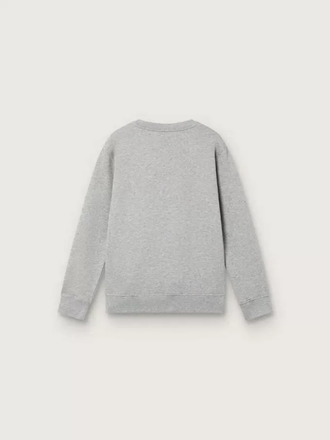 Felpa girocollo Journey per bambino in cotone grigio melange con stampa mascotte