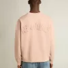 Felpa rosa cipria con logo rovesciato sul retro – Jersey Capsule Felpa rosa cipria con logo rovesciato sul retro – Jersey Capsule