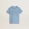 T-shirt azzurra con stampa per bambino T-shirt azzurra con stampa per bambino